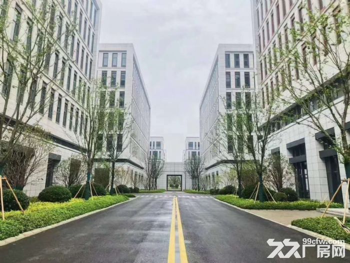 自贸区独栋厂房出售招商-图1