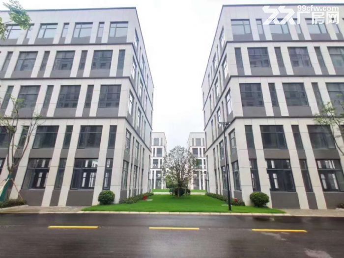 自贸区独栋厂房出售 现房出售-图2