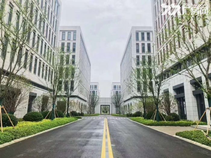 自贸区独栋厂房出售 现房出售-图1