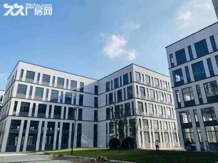 自贸区独栋厂房出售 现房出售-图3