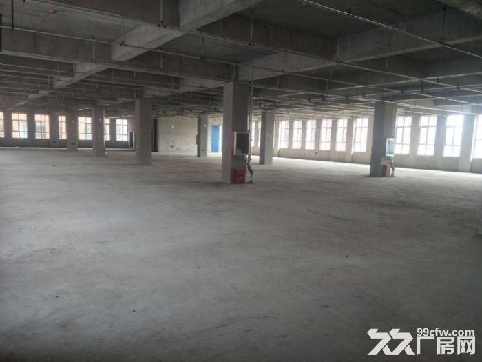 石家庄桥西8000平独栋厂房 | 非中介 | 可分割-图2