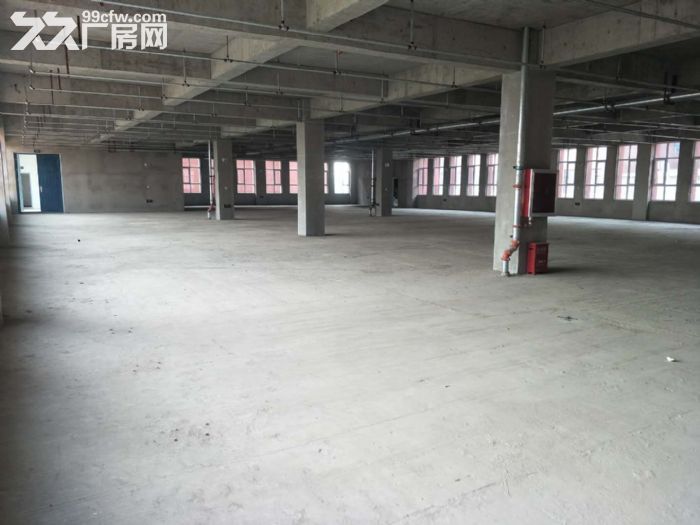 石家庄桥西8000平独栋厂房 | 非中介 | 可分割-图3