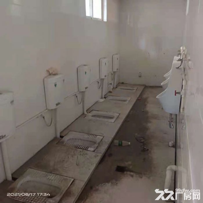 出租藁城西机场路单层厂房2800平，带办公有院子。-图5