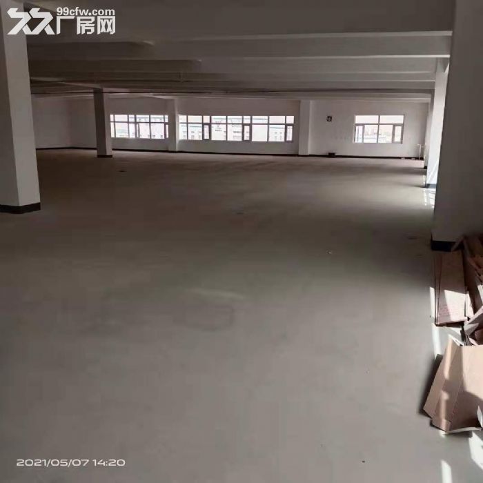 出租石家庄良村开发区标准厂房整层2500平，6米层高-图4