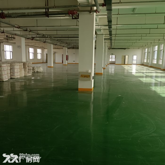 出租高新区12000平独院独栋厂库房可分租-图1