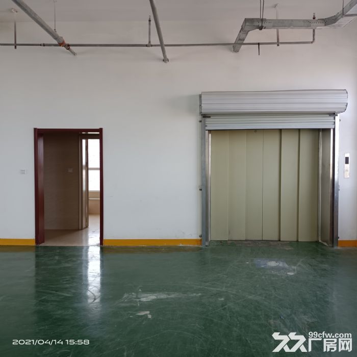 出租高新区12000平独院独栋厂库房可分租-图3