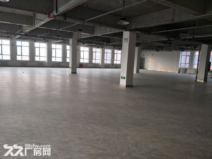 石家庄桥西铜冶2300平独栋厂房，可环评，有装修-图3