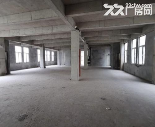 高新区全新好厂房出租，2万平可分租，正规园区，高性价比-图3