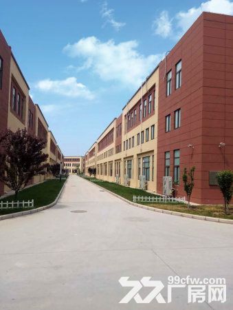 首付3成已环评车间厂房出租出售，可注册，成熟园区-图2