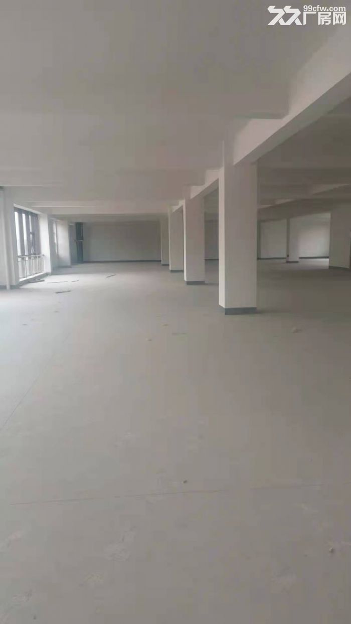 孙村春晖路智造谷8号楼出租5&minus;6层厂房-图2