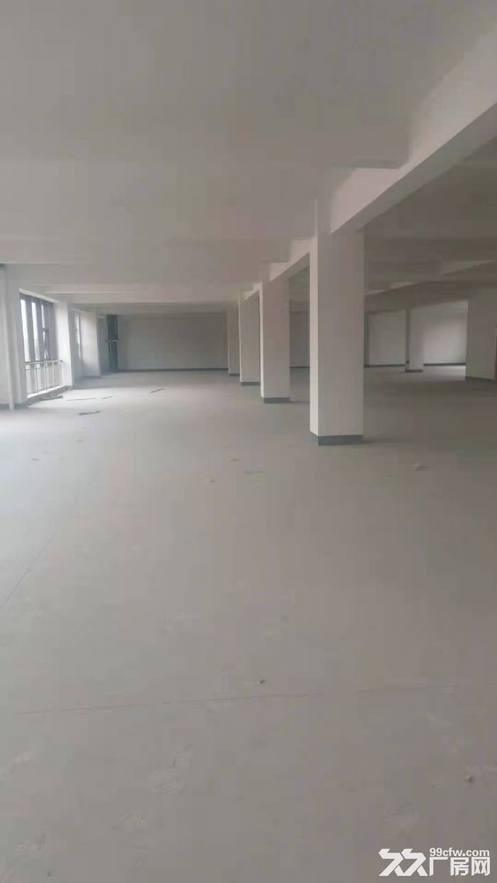 孙村春晖路智造谷8号楼出租5&minus;6层厂房-图4