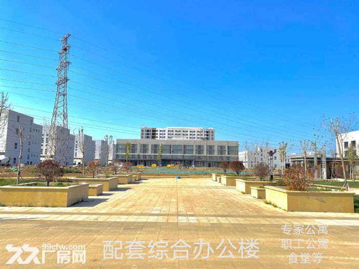 政府直投生物医药基地-图1