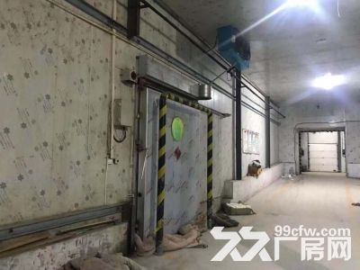 标准冷库、标准厂房出租（唯一都市工业园 李村东）-图1
