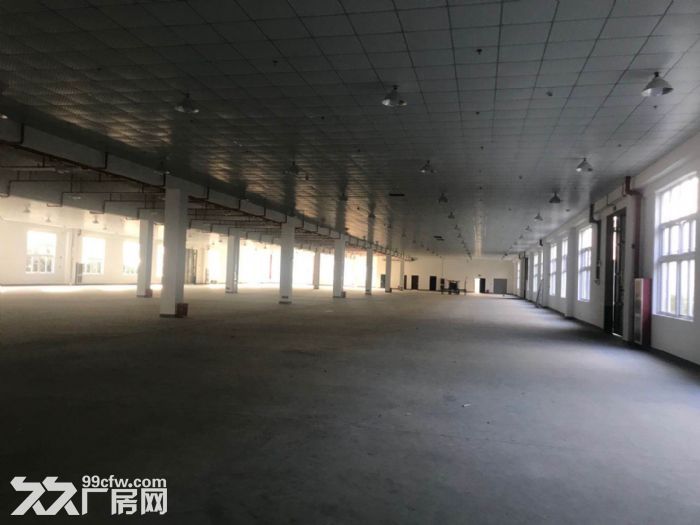 出租红山农场附近2500方单层厂房，层高7米，环评好做-图1