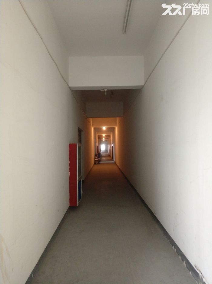 滨江区滨康路附近稀缺标准厂房出租-图1