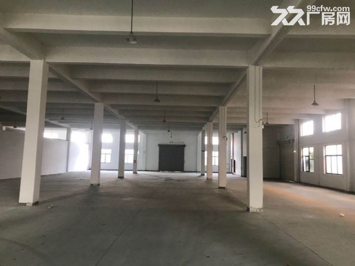 出租黄湖工业区10000方多层厂房，可以分租-图1