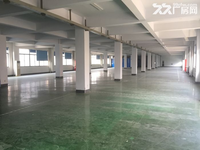未来科技城 阿里巴巴旁 适合淘宝 电商 电子仓库等！！！-图2