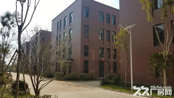 企业优选全新标准厂房、面积大小可选-图2