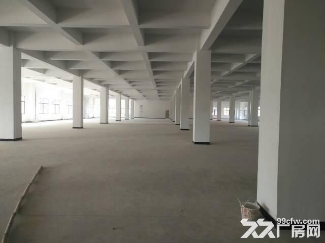 出租进化1150方厂房，一楼层高7.8米，价格270元可以谈-图3