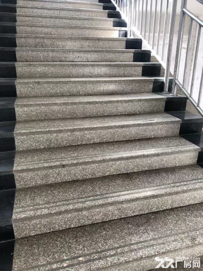 德清武康1000㎡标准厂房出租-图2