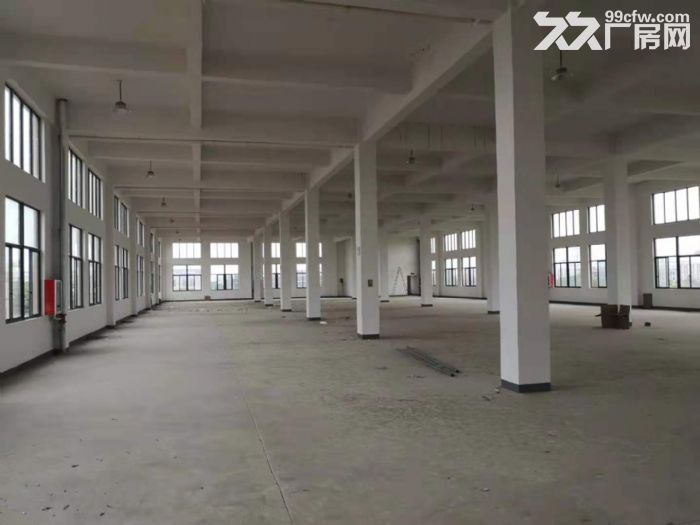 闻堰1400方出租-图2