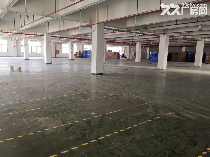 闻堰1400方出租-图3