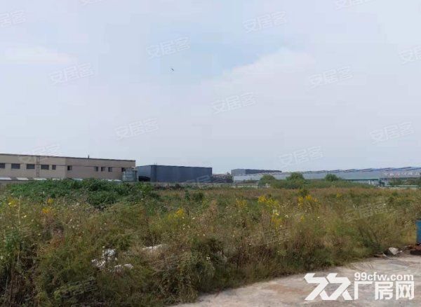 出租临浦独门独院5亩土地-图1