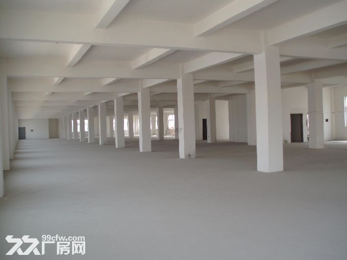 仁和工业区20000方厂房出租可分割-图1
