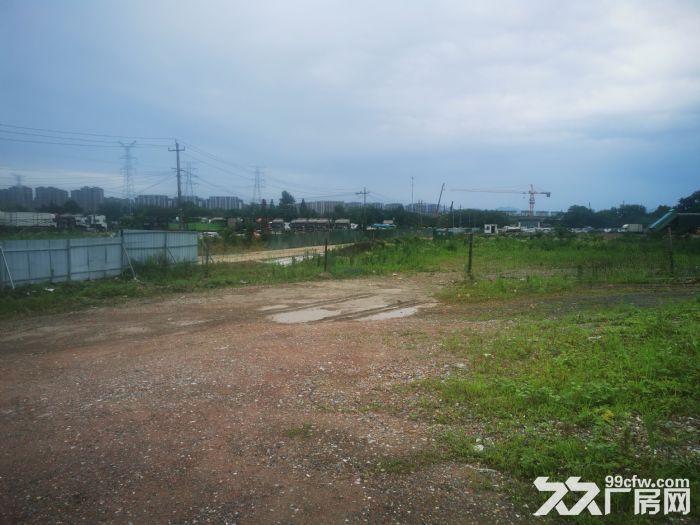 出租西湖区10亩净地，可分租6亩和4亩-图2