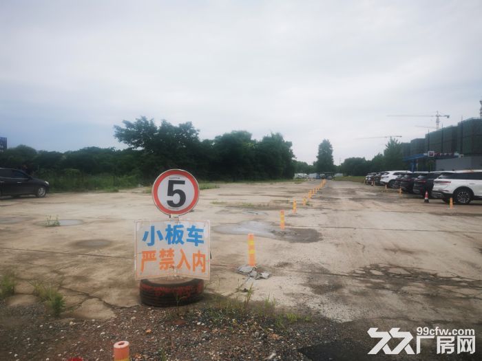 出租西湖区10亩净地，可分租6亩和4亩-图1