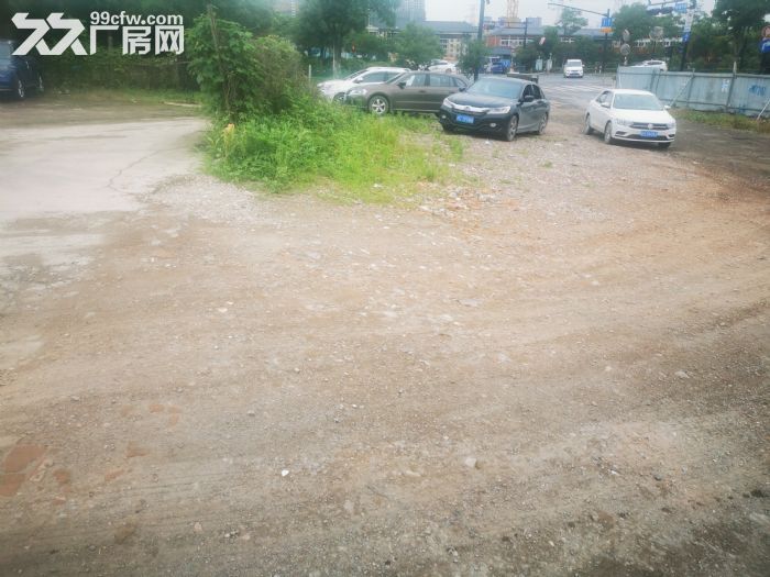 出租西湖区10亩净地，可分租6亩和4亩-图4