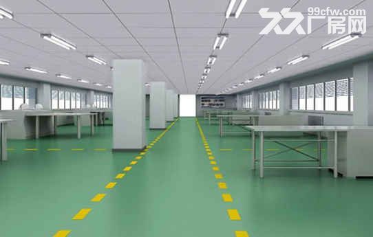 临安高虹活山村1300方1楼层高4.5米自建房，2楼办公室160方，价格20元-图1
