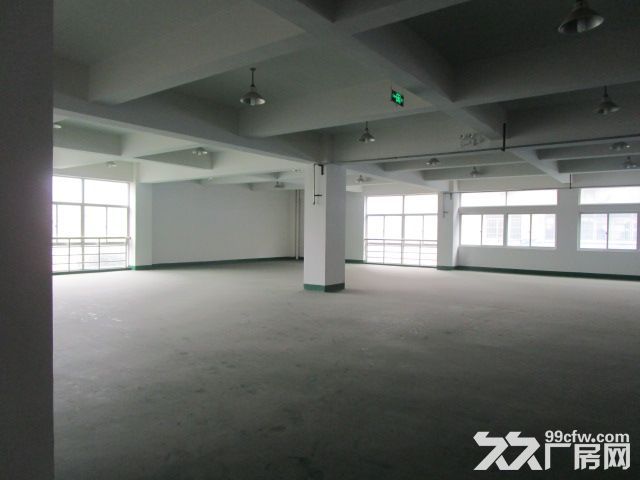 滨江西兴长河300方，500方，800方，1000方面积不限楼层不限-图2
