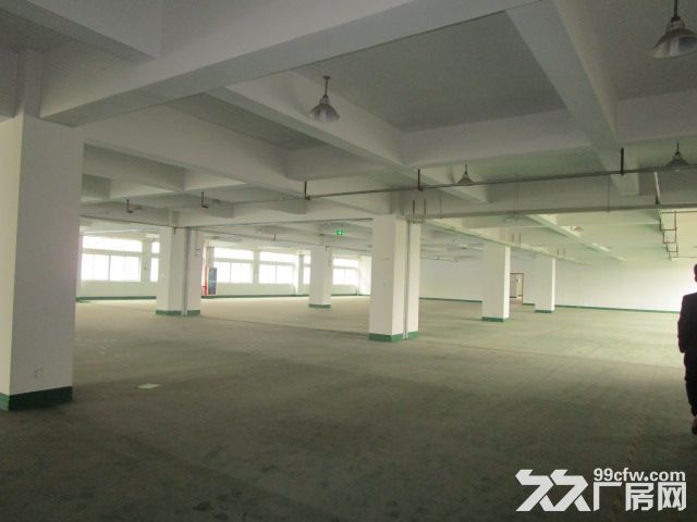 滨江西兴长河300方，500方，800方，1000方面积不限楼层不限-图1