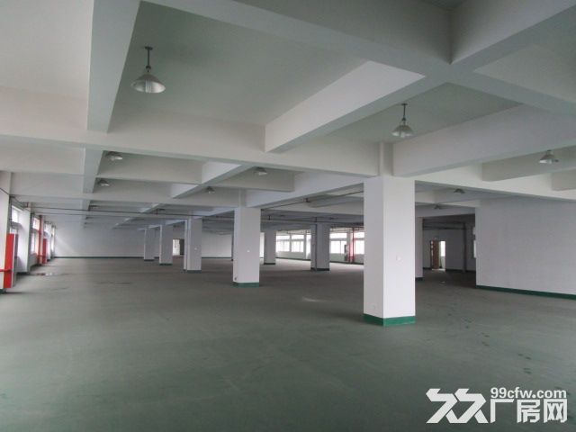 滨江西兴长河300方，500方，800方，1000方面积不限楼层不限-图3