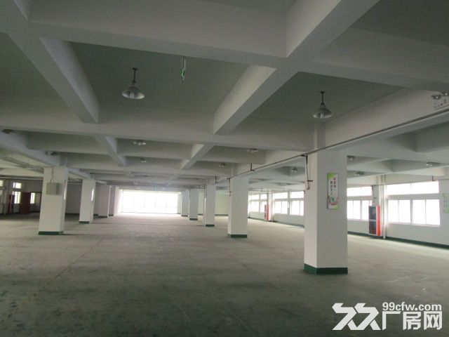滨江西兴长河300方，500方，800方，1000方面积不限楼层不限-图4