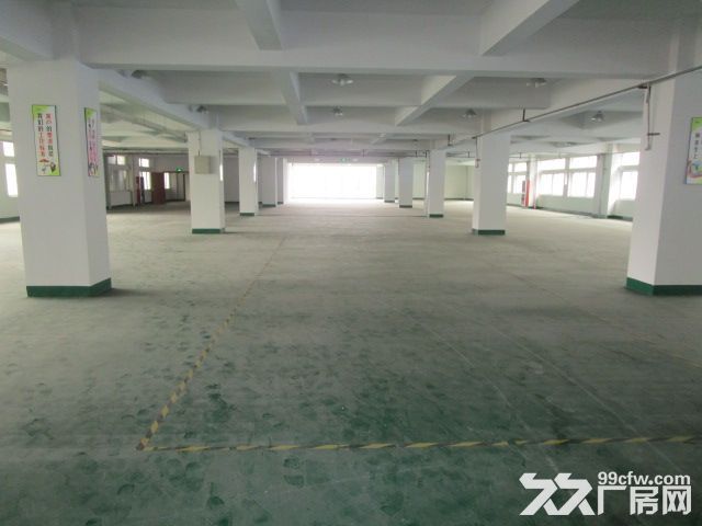 滨江西兴长河300方，500方，800方，1000方面积不限楼层不限-图5