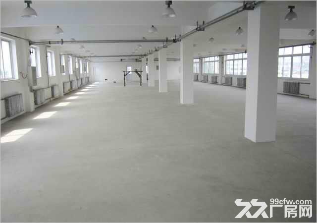 临安太阳镇独门独院5500方厂房出租，整租70万一年-图1