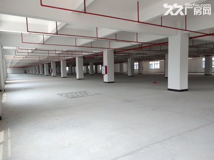 出租所前二楼1000方厂房，层高4米，2吨货梯，环评好做，报价180元/平/年-图5