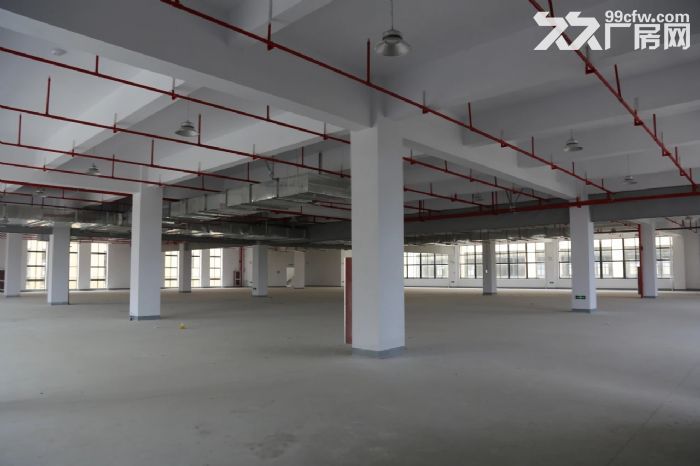 出租进化3700方厂房，价格面议-图1