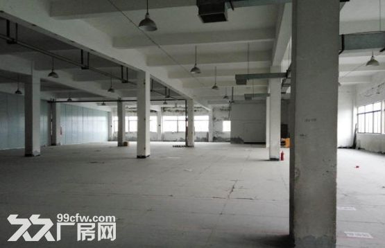 钱塘新区大江东3000方厂房出租 价格10元 行业不限-图1