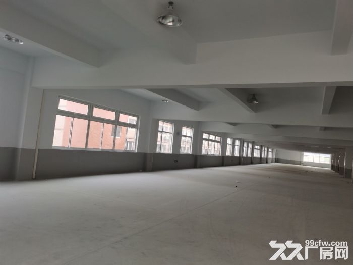 出租许巷6000方标准厂房-图2