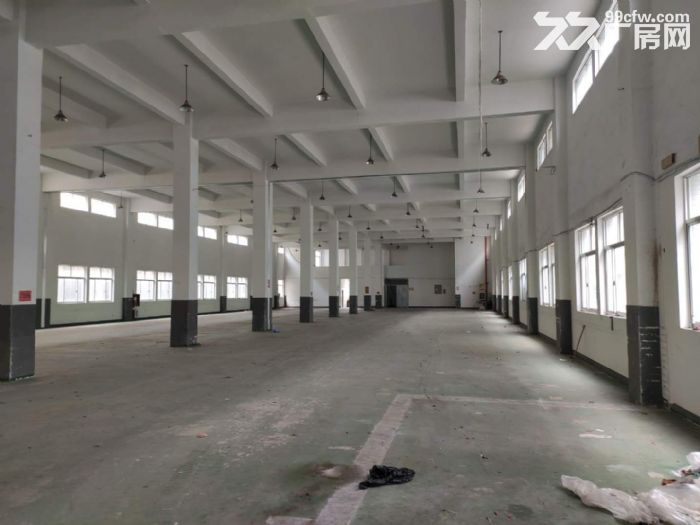 出租许巷6000方标准厂房-图4