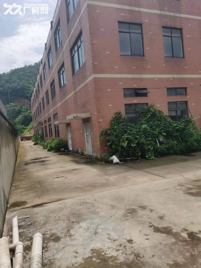 诚租  良渚工业园旁独门独院厂房6000房-图4