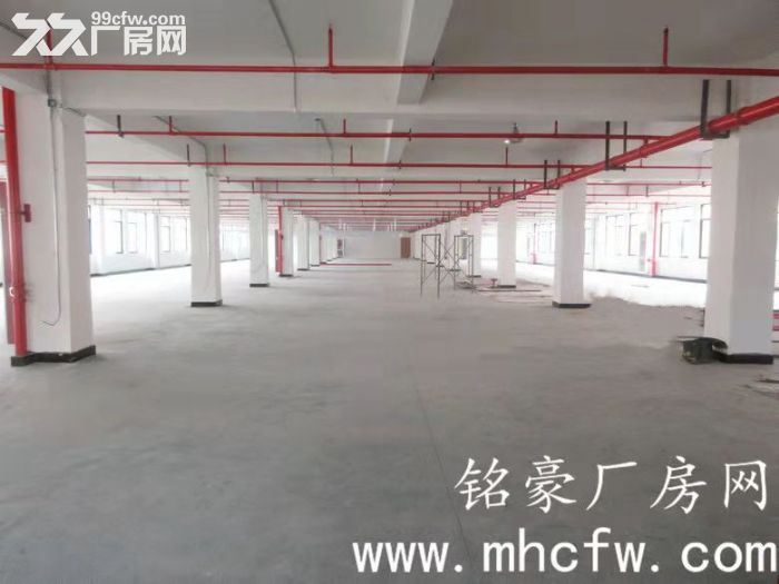余杭仁和工业区11300方标准厂房出租-图1