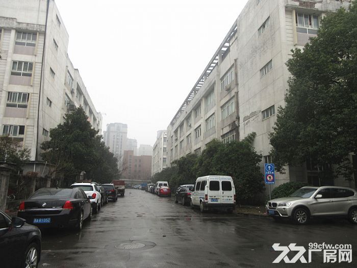 西湖科技园1800/500方厂房出租-图2