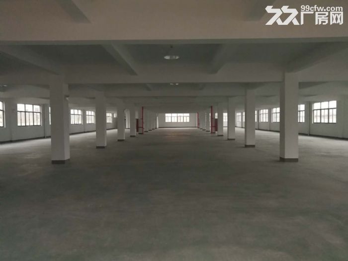 机场高架下全新厂房2700方单层共三层可做仓库淘宝-图3