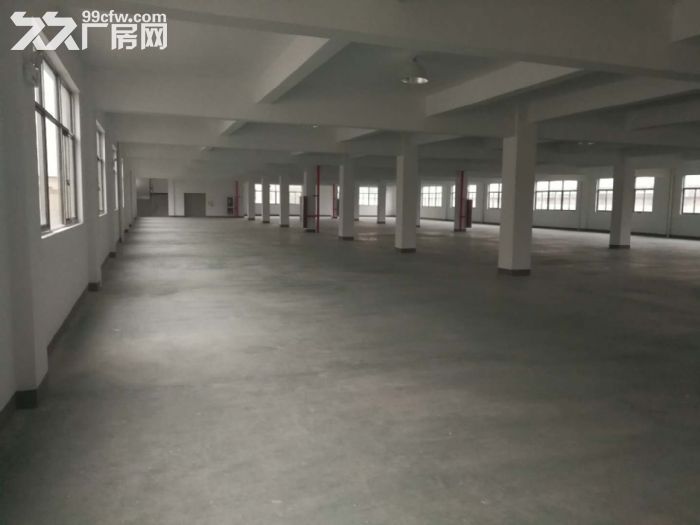 机场高架下全新厂房2700方单层共三层可做仓库淘宝-图4