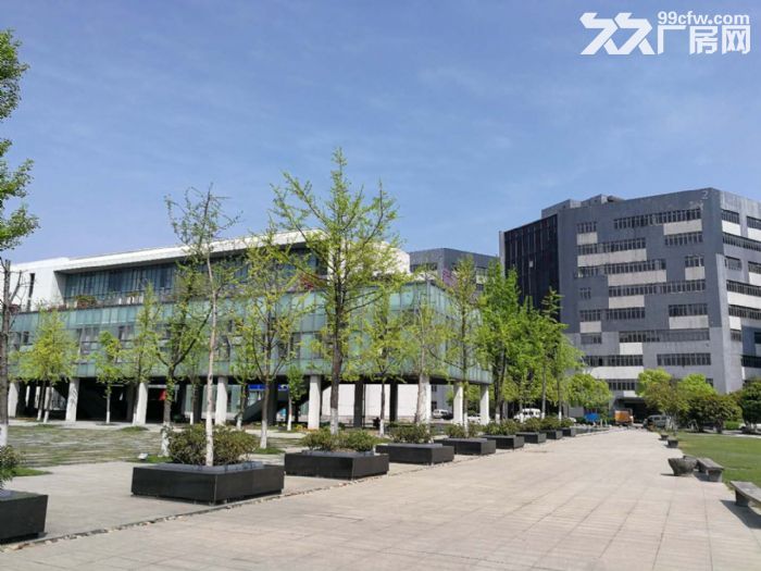 环境超好3000方可分割 有食宿班车 需要电话联系我-图7