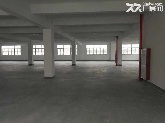机场高架下桥南开发区整栋厂房出租 5000方和9000方-图1